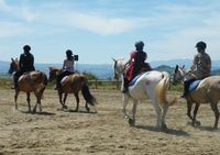 Les Katbalous - Centre Equestre à Sauxillanges