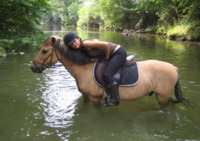 Les Poneys d'Alcibiade - Centre Equestre - Le Cannet des Maures