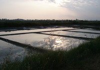 Les Salines - Rivière Les Sables-d'Olonne