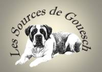 Les Sources de Gouesch - Elevage Chien du Saint-Bernard à Saint-Pathus (77)