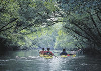 Location Canoë Kayak Maison de la Nature du Bassin - Canoë-Kayak Le Teich