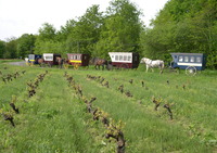 Locattelage - Promenade en Attelage à St Rémy la Varenne