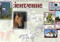 Loisirs Equitation - Centre Equestre à Dommartin-Lettrée
