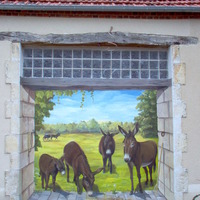 Maison de l'Âne Bourbonnais et son Musée à Braize