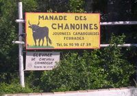 Manade des Chanoines à Raphele-les-Arles