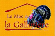 Mas de la Galliniere - Ferme à Roquemaure (30)