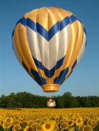 Montgolfière du Bocage - Baptême Montgolfière à St Pierre du chemin (85)