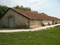 MUSÉE DE LA CAMARGUE à Arles