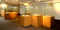 Musée de Paléontologie Humaine de Terra Amata à Nice