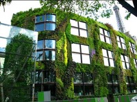 Musée du Quai Branly à Paris