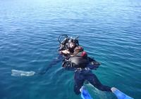 Nautica Loisirs Plongée - Plongée Sous-Marine à Calcatoggio