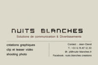 Nuits Blanches - Animation Evénementielle à Ecully (69)