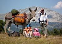 Ok Corr âne - Randonnée avec Ane à La Chapelle en Vercors