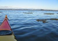 Palavas les Flots Canoë Kayak - Kayak de mer à Palavas-les-Flots