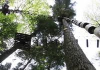 Parc Alsace Aventure - Parcours Aventure en Forêt Le Hohwald