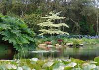 Parc Botanique de Cornouaille - Parc et Jardin à Combrit