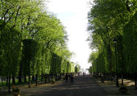 Parc de Blossac - Parc et jardin à Poitiers