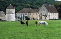 Parc de l'Abbaye Cistercienne de Reigny - Parc et jardin à Vermenton