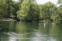 Parc de la Bouzaize - Parc et jardin à Beaune