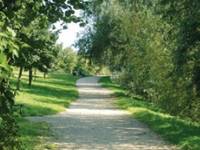 Parc de la Coulée Verte des Godets - Parc et jardin à Antony