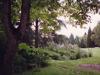 Parc de Tancognaguet - Parc et jardin à Saint-Pierre-de-Fursac