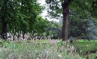 Parc départemental du Rancy - Parc et jardin à Bonneuil-sur-Marne