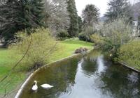 PARC DU CASINO - Parc et jardin à Bagnères-de-Luchon