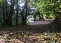 Parc du Château de la Motte Jean - Parc et jardin à Saint-Coulomb