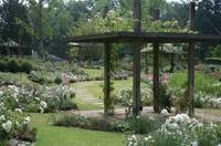 Parc floral de la Roseraie - Parc et jardin à Poitiers