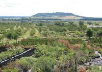 Parc Naturel Régional de Lorraine - Parc et jardin à Pont-à-Mousson