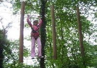 Parcours aventure en forêt à Saint-Montan