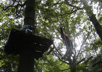 Parcours Lémurien de Graville - Parcours Aventure en Forêt à Champagne-sur-Seine