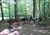 Parigné Cheval Aventures - Randonnée à Cheval à Parigné l'évêque (72)