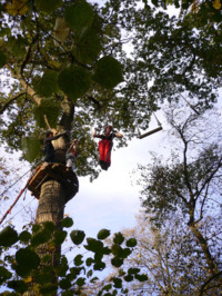 Paris Est Aventure - Accrobranche à Saint Maurice (94)