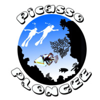 Picasso Plongée - Club de Plongée à Echirolles (38)