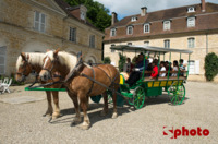 Pichevel - Promenade en Attelage à Champrougier (39)