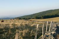 Plateau d'Estive de Saint Clément - Patrimoine Naturel à Vic-sur-Cère