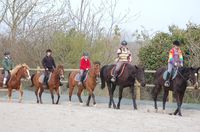 Poney Club Sainte Colombe - Poney-Club à Sainte Colombe