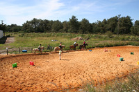 Poney Nature - Poney-Club à Langon