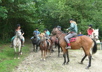 Promenade à cheval / poney - Randonnée à Cheval à Cros-de-Géorand