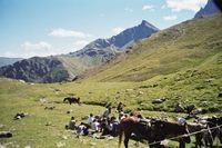 Promenades et randonnées équestres - Randonnée à Cheval à Chichilianne