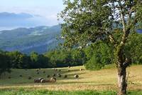 Randonnées pédestres à thèmes - Randonnée Pédestre à Presles