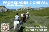 Randonnées à Cheval Le Petit Roman - Randonnée à Cheval à Maussane-les-Alpilles (13)