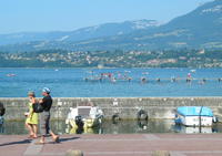 Restaurant du Port - Restaurant Traditionnel Le Bourget-du-Lac