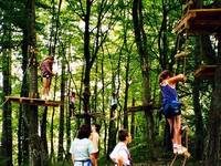 Montciel Aventure - Parcours Aventure en Forêt à Saint-Étienne-du-Bois