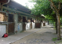 Société Hippique d'Aquitaine - Centre Equestre Le Taillan-Médoc