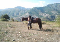 Soubrana Cheval Montagne - Centre Equestre à Peille (06)