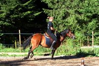 Stages d'équitation - Centre Equestre à Corrençon-en-Vercors