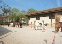 USMT Section Équitation - Centre Equestre à Maisons-Laffitte