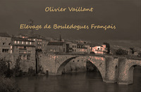 Of Very Promising - Elevage Bouledogue Français à Villeneuve-sur-Lot (47)